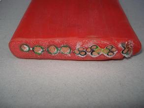 ZR-YGCB-4x35硅橡膠阻燃扁平電纜